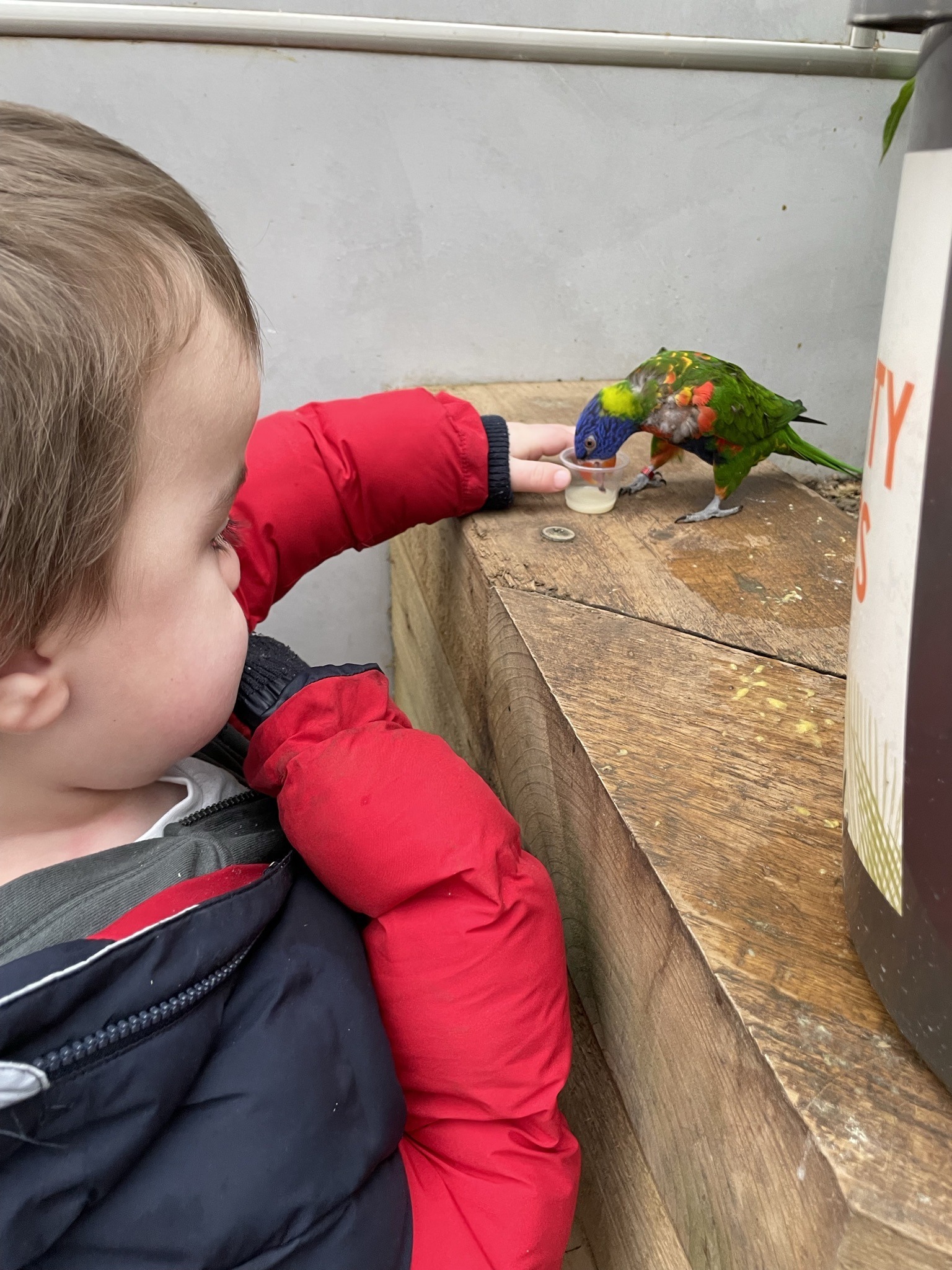 Henry at the Zoo 2022 Henry at the Zoo